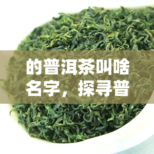 的普洱茶叫啥名字，探寻普洱茶的精髓：哪种是的？