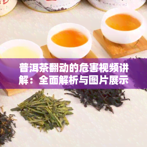 普洱茶翻动的危害视频讲解：全面解析与图片展示