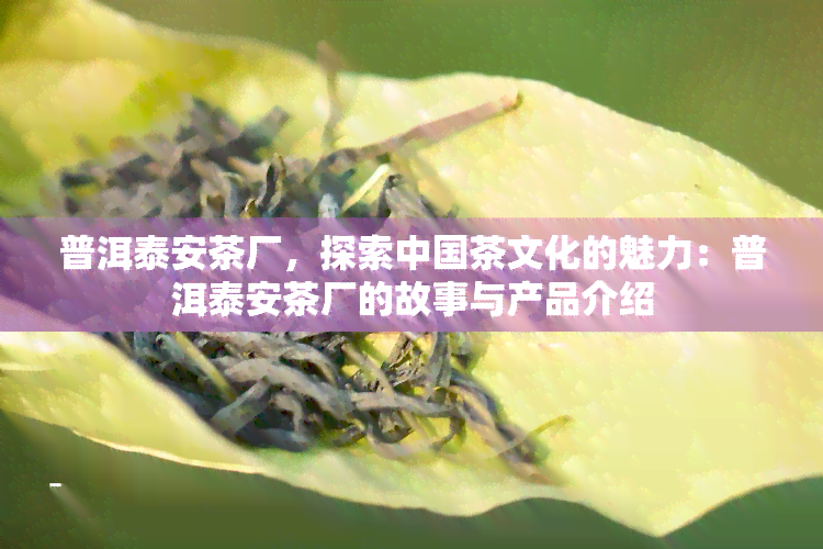 普洱泰安茶厂，探索中国茶文化的魅力：普洱泰安茶厂的故事与产品介绍