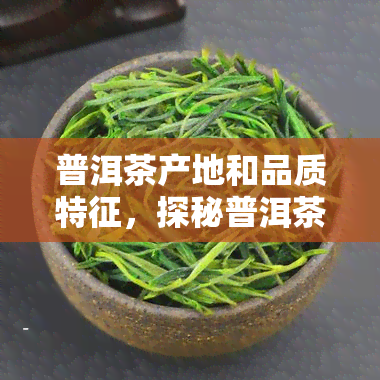 普洱茶产地和品质特征，探秘普洱茶：揭秘其产地与独特品质特征