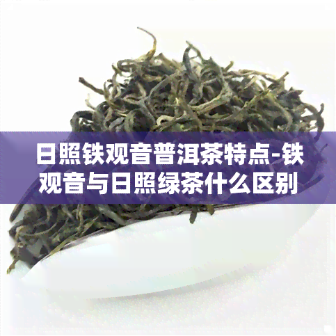 日照铁观音普洱茶特点-铁观音与日照绿茶什么区别