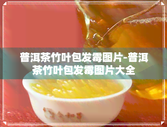 普洱茶竹叶包发霉图片-普洱茶竹叶包发霉图片大全