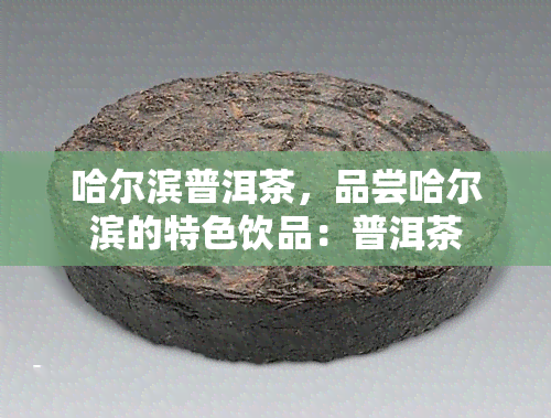 哈尔滨普洱茶，品尝哈尔滨的特色饮品：普洱茶