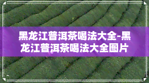 黑龙江普洱茶喝法大全-黑龙江普洱茶喝法大全图片