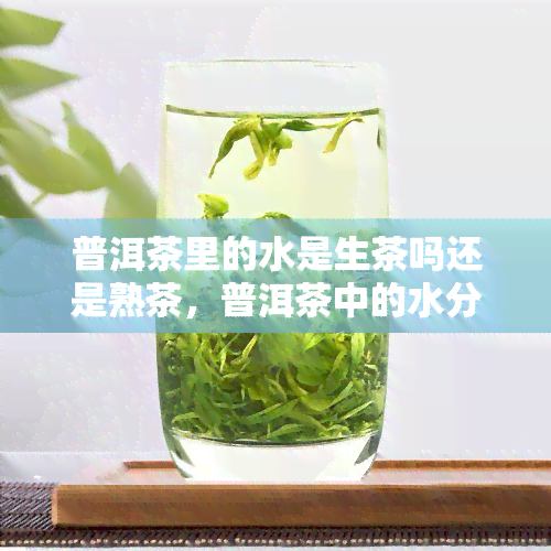 普洱茶里的水是生茶吗还是熟茶，普洱茶中的水分：生茶还是熟茶？