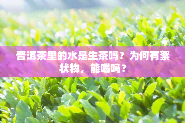 普洱茶里的水是生茶吗？为何有絮状物，能喝吗？