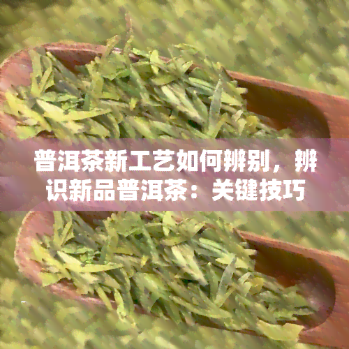 普洱茶新工艺如何辨别，辨识新品普洱茶：关键技巧与方法