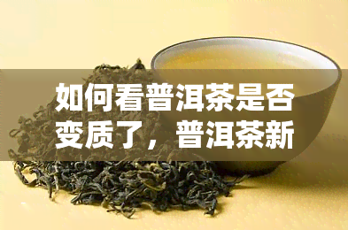 如何看普洱茶是否变质了，普洱茶新度检测：如何判断茶叶是否变质？