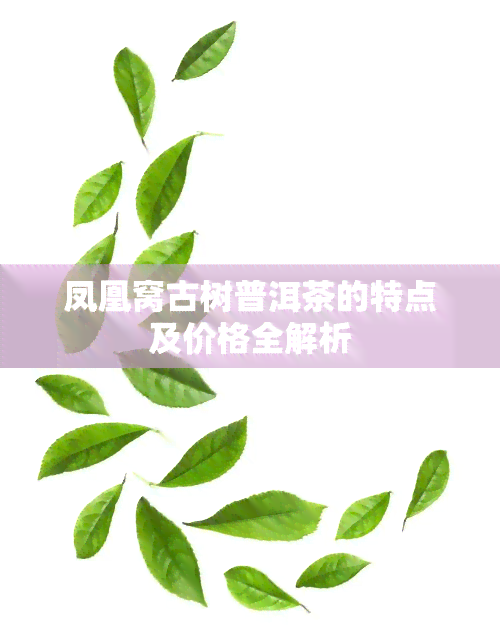 凤凰窝古树普洱茶的特点及价格全解析