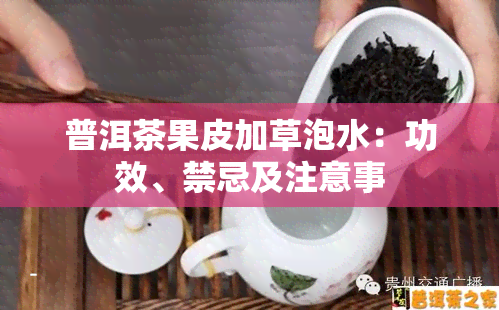 普洱茶果皮加草泡水：功效、禁忌及注意事