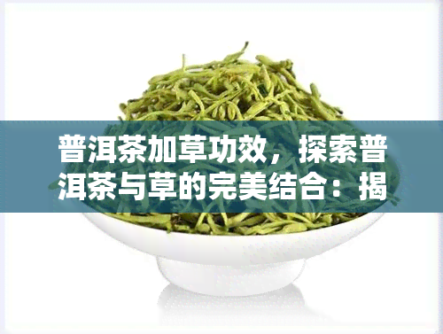 普洱茶加草功效，探索普洱茶与草的完美结合：揭秘其独特功效