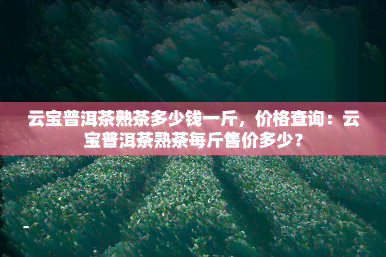 云宝普洱茶熟茶多少钱一斤，价格查询：云宝普洱茶熟茶每斤售价多少？