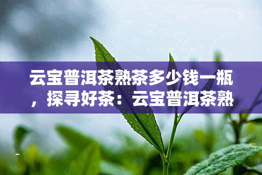 云宝普洱茶熟茶多少钱一瓶，探寻好茶：云宝普洱茶熟茶市场价格分析