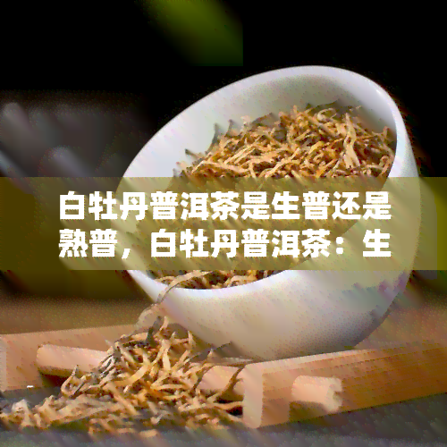 白牡丹普洱茶是生普还是熟普，白牡丹普洱茶：生普还是熟普？一次全面解析