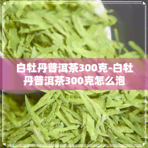 白牡丹普洱茶300克-白牡丹普洱茶300克怎么泡