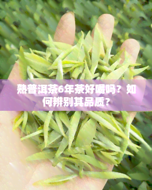 熟普洱茶6年茶好喝吗？如何辨别其品质？