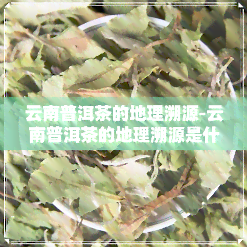 云南普洱茶的地理溯源-云南普洱茶的地理溯源是什么