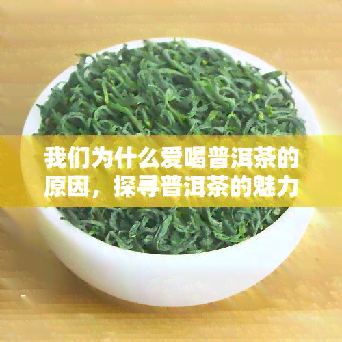 我们为什么爱喝普洱茶的原因，探寻普洱茶的魅力：揭开我们热爱这种茶的神秘面纱