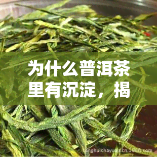 为什么普洱茶里有沉淀，揭秘普洱茶沉淀的秘密：原因解析