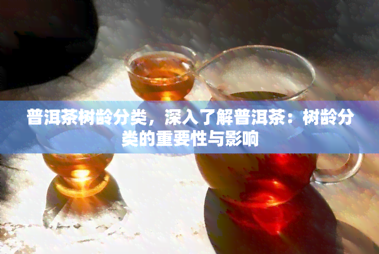 普洱茶树龄分类，深入了解普洱茶：树龄分类的重要性与影响