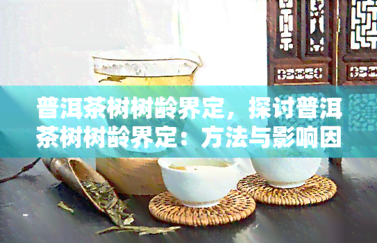 普洱茶树树龄界定，探讨普洱茶树树龄界定：方法与影响因素