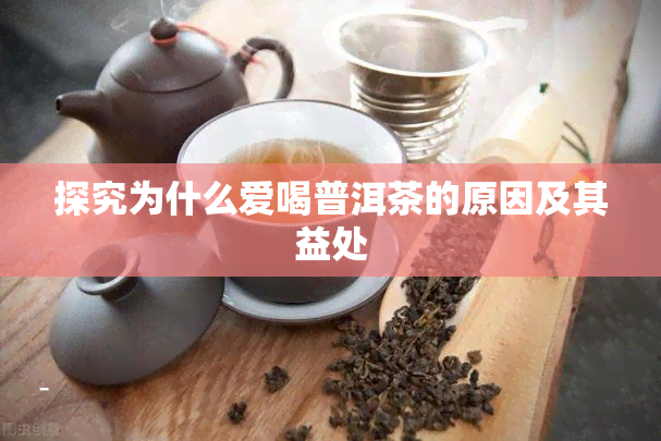 探究为什么爱喝普洱茶的原因及其益处