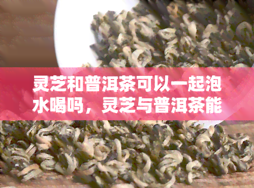 灵芝和普洱茶可以一起泡水喝吗，灵芝与普洱茶能否共饮？详解二者搭配的利弊