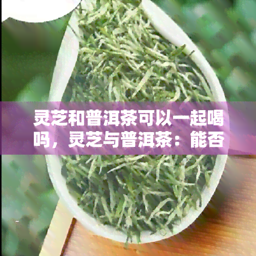 灵芝和普洱茶可以一起喝吗，灵芝与普洱茶：能否同时饮用？