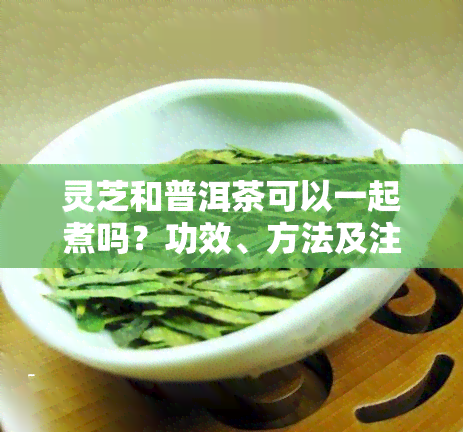 灵芝和普洱茶可以一起煮吗？功效、方法及注意事全解析