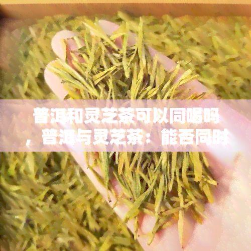 普洱和灵芝茶可以同喝吗，普洱与灵芝茶：能否同时饮用？