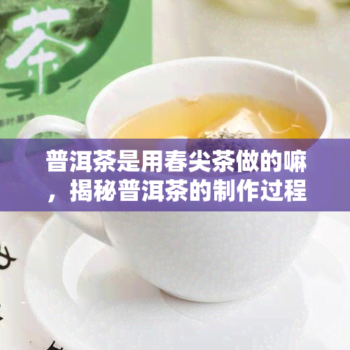 普洱茶是用春尖茶做的嘛，揭秘普洱茶的制作过程：春尖茶是否为其主要原料？