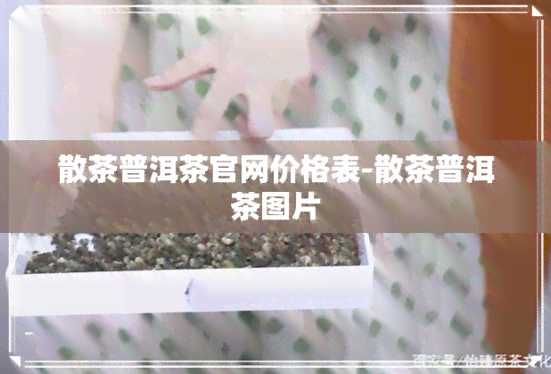 散茶普洱茶官网价格表-散茶普洱茶图片