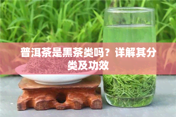 普洱茶是黑茶类吗？详解其分类及功效