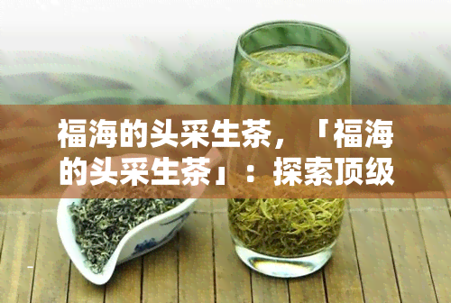 福海的头采生茶，「福海的头采生茶」：探索顶级茶叶的独特魅力