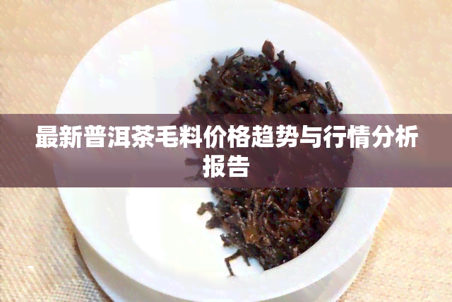 最新普洱茶毛料价格趋势与行情分析报告