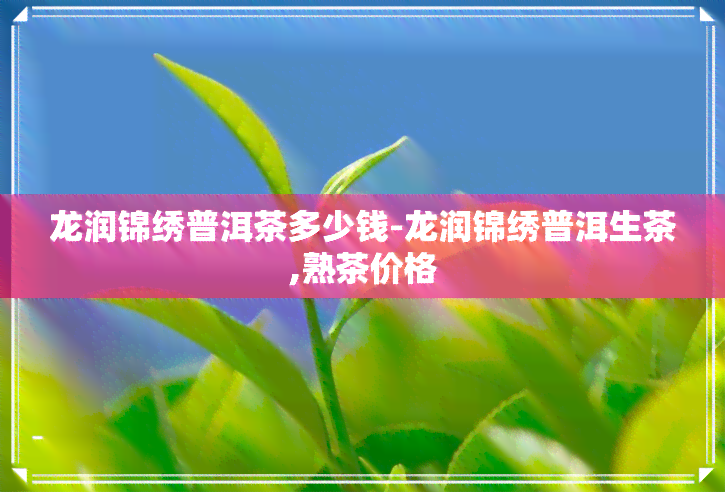 龙润锦绣普洱茶多少钱-龙润锦绣普洱生茶,熟茶价格