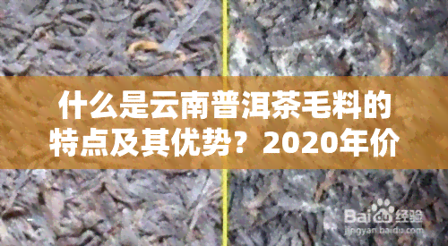 什么是云南普洱茶毛料的特点及其优势？2020年价格如何？