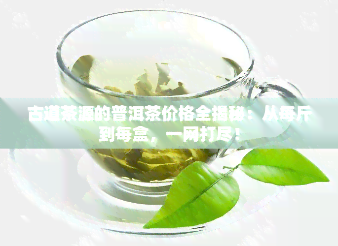 古道茶源的普洱茶价格全揭秘：从每斤到每盒，一网打尽！