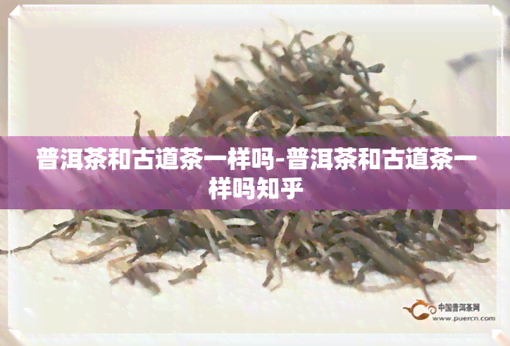 普洱茶和古道茶一样吗-普洱茶和古道茶一样吗知乎