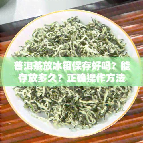 普洱茶放冰箱保存好吗？能存放多久？正确操作方法及挽救措