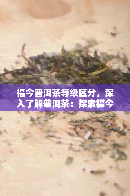 福今普洱茶等级区分，深入了解普洱茶：探索福今茶的等级区分