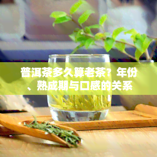 普洱茶多久算老茶？年份、熟成期与口感的关系