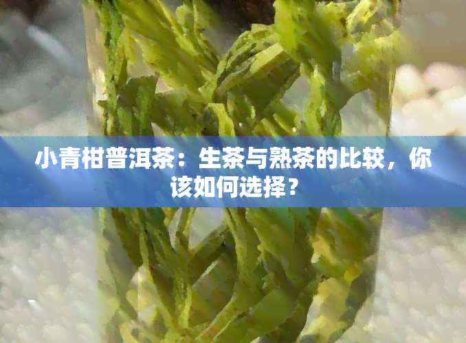 小青柑普洱茶：生茶与熟茶的比较，你该如何选择？