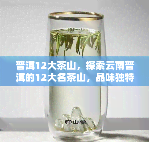 普洱12大茶山，探索云南普洱的12大名茶山，品味独特韵味