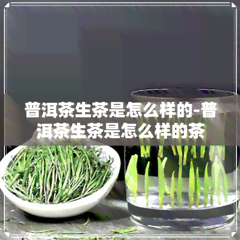 普洱茶生茶是怎么样的-普洱茶生茶是怎么样的茶