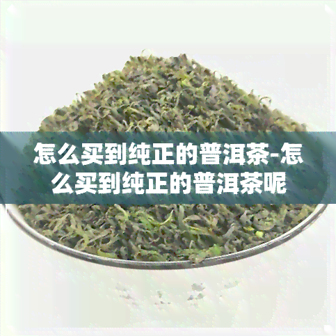 怎么买到纯正的普洱茶-怎么买到纯正的普洱茶呢