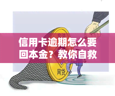 信用卡逾期怎么要回本金？教你自救办法与还款策略