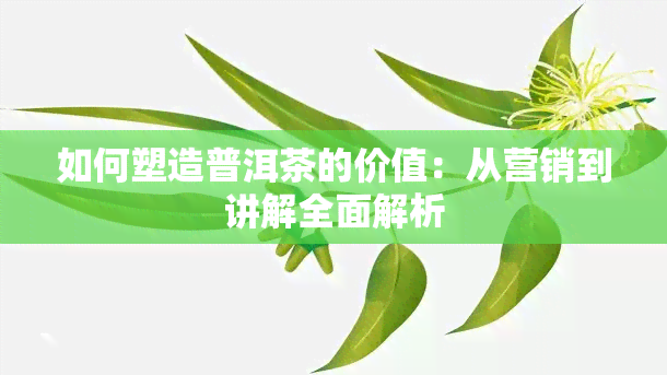 如何塑造普洱茶的价值：从营销到讲解全面解析