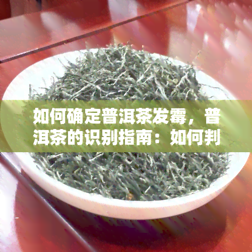 如何确定普洱茶发霉，普洱茶的识别指南：如何判断茶叶是否发霉？