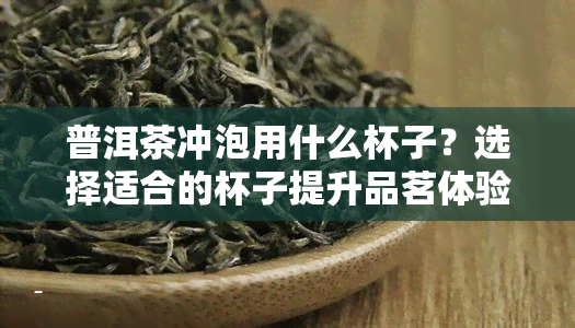 普洱茶冲泡用什么杯子？选择适合的杯子提升品茗体验